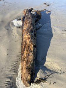 Traveler on the tides Traveler on the tides